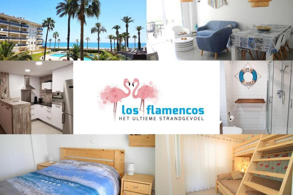 New! Modern Apartment Right On The Beach! Miami Playa Zewnętrze zdjęcie